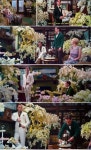 Pin by 시아 이 on 시그 | The great gatsby, Gatsby, West egg