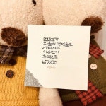 소담캘리,소담,캘리그라피,나눔캘리,손글씨,캘리나눔,캘리그라피커뮤니티,일상여행 | 손글씨, 명언, 인용구