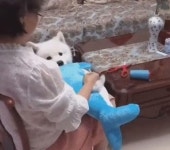 재미에 있는 핀