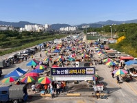 강릉 남대천 농산물 새벽시장