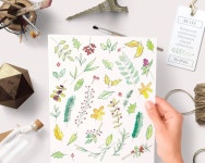 Watercolor clipart floral and botanical elements (39pc). hand painted water colour flowers clip art and plants in a fall theme... 