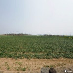 서귀포시 대정읍 영락리 토지 매매 - 2021 | 부동산, 빌라, 아파트