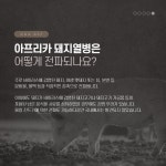 카드뉴스에 있는 H20 H20님의 핀 - 2021