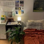 ..彡 🚃 ᜊ . 🌱 : 돈 | Room inspiration bedroom, Minimalist room, Room design bedroom