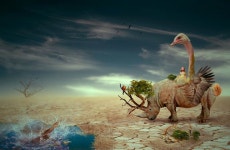 amazing africa | 블로그