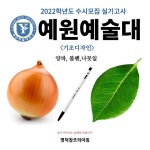 명덕창조의아침 대구입시미술학원 on Instagram: “2022학년도 수시모집 실기고사 ‘예원예술대학교’ <기초디자인> . . . [이미지출처... 