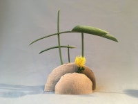 플라워에 있는 youngsung yu님의 핀 | 작은 꽃꽂이, 꽃꽂이, 꽃