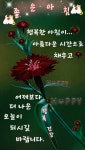 아침인사 경희에 있는 Kyonghui Chon- Marella님의 핀 | 좋은 아침 인사, 아침 인사, 이모티콘