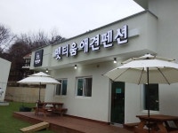 홍천 애견펜션 펫티움펜션 | 건강
