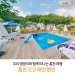 댕댕이와 함께 떠나는 홍천 여행 홍천 코코 애견 펜션 | 여행, 수영장, 애견