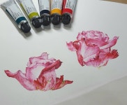 중~~ #보타니컬아트 #보태니컬아트 #보테니컬아트 #식물세밀화 #botanicalart #수채세밀화 #rose #watercolors... 