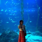 [New] The 10 Best Travel Ideas Today (with Pictures) -   - - - #제주 #서귀포 #섭지코지 #우도 #아쿠아플라넷 #수족관 #횟집... 