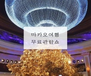 마카오 핫플레이스 무료 호텔 쇼 정보 (ft.윈 마카오)