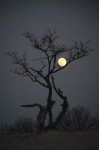 art에 관한 11개의 최상의 Pinterest 이미지 | 배경화면, 달빛 및 아름다운 장소 art