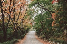 가을길 ... | Country roads, Road, Voyage
