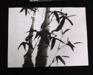 그림에 있는 용준 박님의 핀 | 그림, 대나무