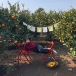 여행을 떠나요    여행을 떠나요 | Butterfly chair, Decor