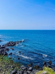 제주도의 푸른바다