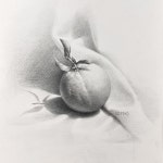 오렌지 정물 소묘 🍊