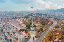 두류공원 일대를 담아봤습니다! 벚꽃 주말 잘 보내고... 📌 대구 이월드 & 두류공원 📸 사용장비 @kppstore @hyfiltersglobal @leofoto.... 