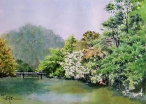 비오는날 물레울유원지 #자연#예술#숲풍경 #봄의나무빛깔#보슬비오는날숲#future #watercolorartwork #creativedrawing... 