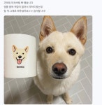 Printful에 있는 핀