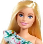 2021 News about the Barbie Dolls! 2021 News about the Barbie Dolls! | Barbie dolls, Barbie, American girl doll