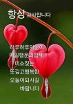 비 사진 | 좋은 아침 이미지, 시골 사진, 좋은 아침 인사