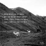 박노해의 걷는 독서 - 행복을 찾아서 길을 걷지 않았지