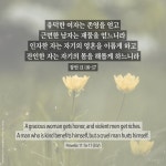 잠언 11:16-17