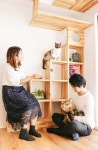 Ragdoll에 관한 330개의 최상의 Pinterest 이미지 | 새끼 고양이, 애완동물 및 Cute kittens Ragdoll
