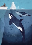 Whale에 관한 11개의 최상의 Pinterest 이미지 | 물고기자리, 생선 및 고래 Whale