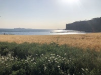 제주도 중문 박수기정 석양 풍경이 좋은 카페 루시아, 제주도 중문 석양 일몰이 좋은 박수기정