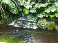 Yeomiji Botanical Garden in Jeju Seoguipo Joogmoon(제주 서귀포 중문)