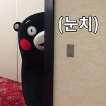 쿠마몬 눈치짤