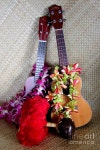 Hula에 관한 38개의 최상의 Pinterest 이미지 | Hawaii, Paisajes 및 댄서 Hula