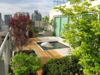 하늘과 가까운 초록의 낙원, 옥상정원 | 호미파이 & homify