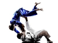 Pin de 조경훈 조 em 유도 em 2020 | Artes marciais, Jiu jitsu, Marcial