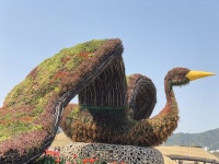 Suncheon(순천)에 있는 2third m님의 핀