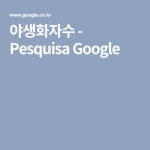 야생화자수 - Pesquisa Google (com imagens) | Pesquisa, Pesquisa google