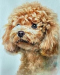 Lafi_lolo on Instagram: “#반려동물초상화 #고양이초상화 #강아지초상화 #손그림 #주문제작 #수채화 #petportrait #강아지그림... 