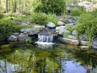 작은 연못에 있는 Shulline님의 핀 | 연못, 정원