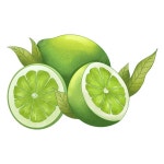 라임, 과일, 과일 라임, 라 임 PNG 일러스트 및 이미지 에 대한 무료 다운로드 - Pngtree