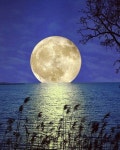 Just beautiful에 관한 25개의 최상의 Pinterest 이미지 | Paisajes, Sun moon 및 달빛 Just beautiful