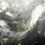 도기에 있는 Windwall님의 핀 - 2021 | 도기