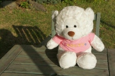 Pin by Yonghee Lee on 용희 | Teddy, Teddy bear, Bear