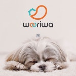 반려동물전문 우리와(주) CI 디자인 제작 의뢰 | 우리와 주식회사 | 디자인 의뢰는 라우드소싱 | Contest, Winner