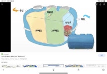 정화조에 있는 Handong님의 핀 - 2020 | 정화조