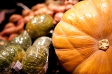 갤러리아 고메이 494 베지터블 가든의 넝쿨째 굴러온 호박 | 호박