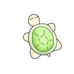 거북( ≧∀≦)ノ